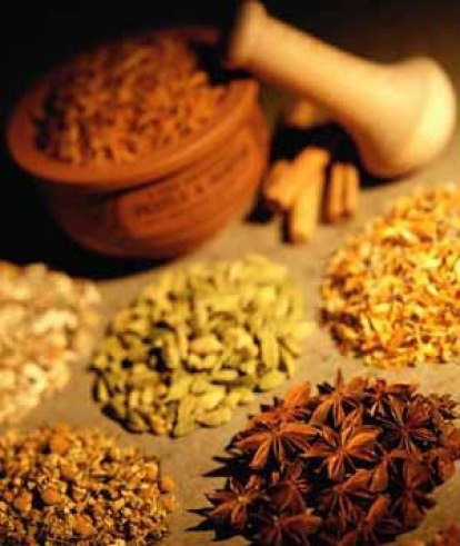 herbal-medicine